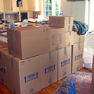 Photo of Rhino Moving and Storage Company