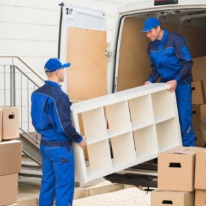 Photo of Carolina Commercial Movers