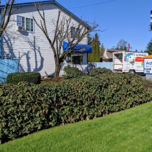 Photo of Additional Self Storage - 503/Orchards