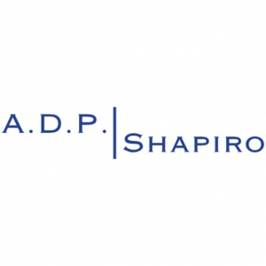 Photo of The Shapiro Law Firm, LLC