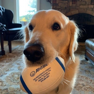 Photo of Joseph Adocchio: Allstate Insurance Agent