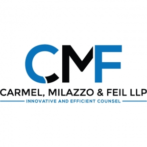 Photo of Carmel, Milazzo & Feil LLP Focused Boutique Firm Service