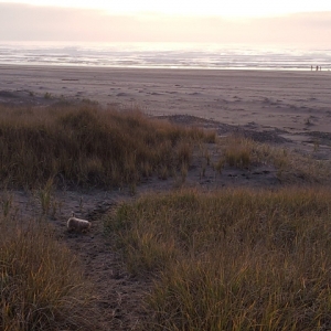 Photo of Lighthouse Oceanfront Resort assure your reservation for your best beach experience
