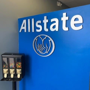 Sterling Heights Ivkov-Hoops: Allstate Insurance Agent
