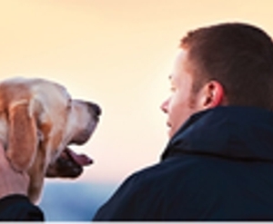 Photo of Brian Johnson: Allstate Insurance Agency