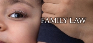 Photo of Law Office of Robin J. Krane PLLC the best possible family law representation