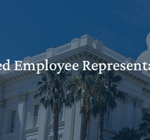 Photo of O'grady Law Group Bay Area Business Immigration Law Firm