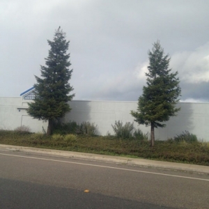Photo of Secured Self Storage Company