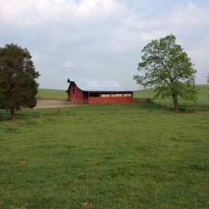 Photo of East Tennessee Mutual Insurance a group of farmers had a desire to insure their property against loss
