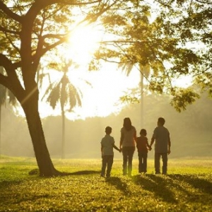 Photo of Morse Family Law Litigation or court services