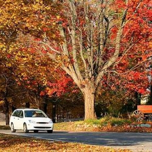 Photo of Thaxton Insurance Group