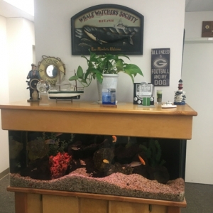 Photo of Don Kent: Allstate Insurance with an Allstate agency for over 30 years