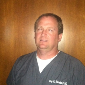 Photo of Johnston Clay Dr professional dental care for the entire family