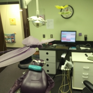 Photo of Dr. Kerri Sue Gustafson, DDS A Personalized And Caring Dental Home