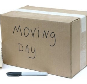 Photo of NYC Moves