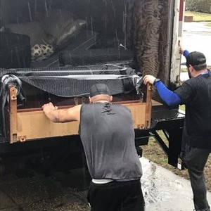 Photo of Last Minute Moving & Delivery