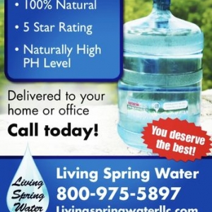 Photo of Living Spring Water