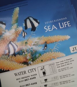 Photo of Water City
