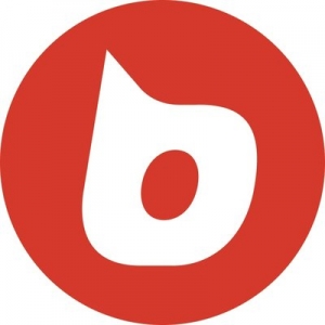 Brooklyn Buzzworthy Studio
