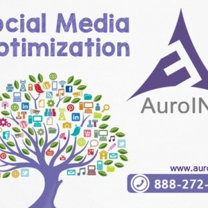 Photo of AuroIN