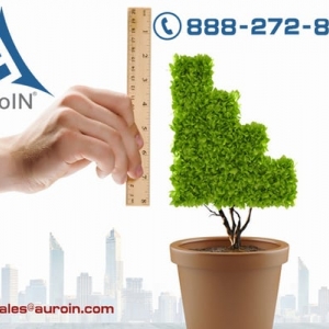 Photo of AuroIN