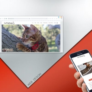 Photo of Web Idea US
