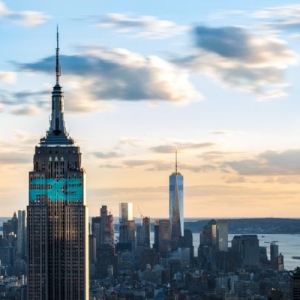 New York Rein Group