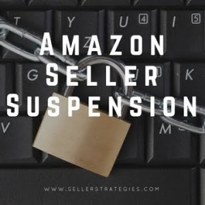 Photo of Seller Strategies International