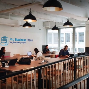 New York Pro Business Plans