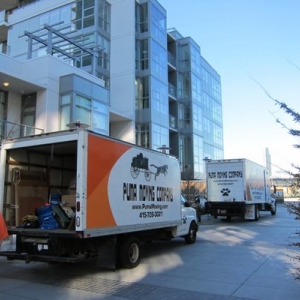 Photo of Puma Moving