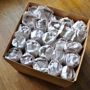 Photo of Caremore Movers and Storage
