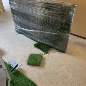 Photo of Everlasting Moving