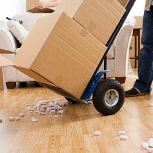 Photo of Pivot Moving Company