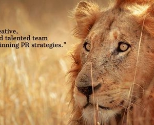 Photo of Abelow PR