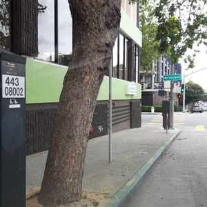Photo of San Francisco Federal Credit Union