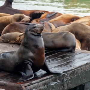 Photo of Safe Harbor CPAs and Tax Consultants