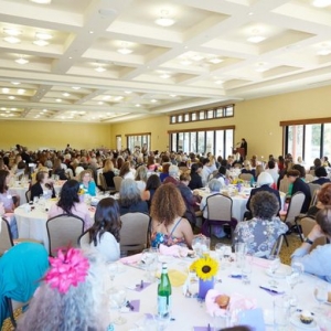 Photo of Castellon Professional Services