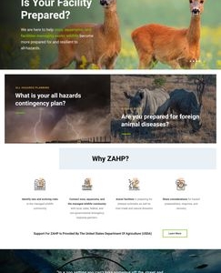 Photo of Thomas Digital Web Design