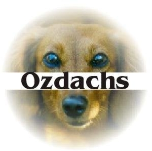 Photo of Ozdachs Consulting