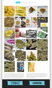 Photo of SF Website Design