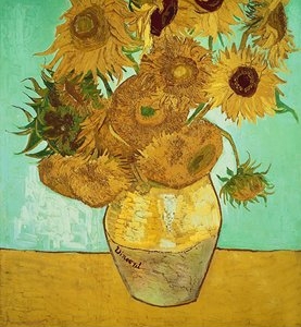 Photo of Veronica Van Gogh Web Design