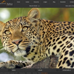 Photo of Luutaa Technologies