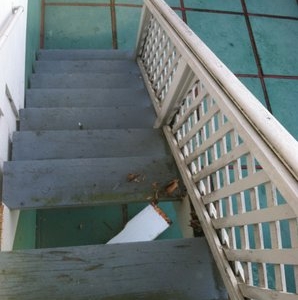 Photo of Golden Gate Termite Control