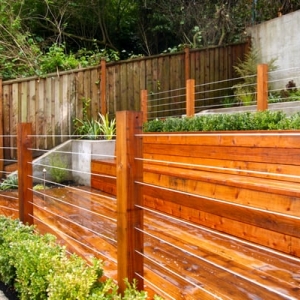 Photo of San Francisco Green Spaces