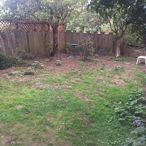 Photo of J & R Landscaping and Construction