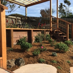 Photo of Sacred Space Gardens