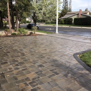 Photo of Smartscaping