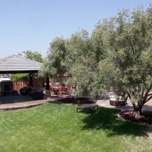 Photo of Black Diamond Paver Stones & Landscape
