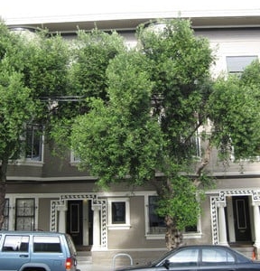 Photo of Progressive Property Group