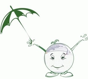 Photo of Excel Rain Man